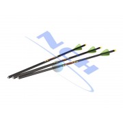 Bear Archery AC96B2B2203 Kit de ballesta de dominio listo para cazar con  flechas ópticas, carcaj, trineo de cincho, paquete de eslinga con linterna