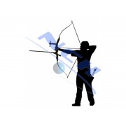 Arctec Archery Pegatina Recurvo