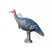 Eleven Target 3D Turkey