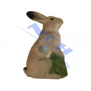 Eleven Target 3D Arctic Hare