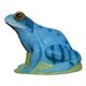SRT Target 3D Frog