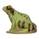SRT Target 3D Frog