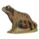 SRT Target 3D Frog