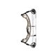 Hoyt Compound Bow Torrex