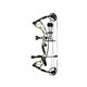 Hoyt Kit Arco Compuesto Torrex CW