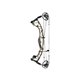 Hoyt Arco Compuesto Torrex XT