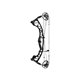 Hoyt Arco Compuesto Torrex XT LD