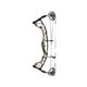 Hoyt Compound Bow Torrex