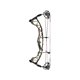 Hoyt Compound Bow Torrex