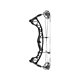 Hoyt Compound Bow Torrex