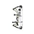 Hoyt Kit Arco Compuesto Torrex CW Hoyt Kit Arco Compuesto Torrex CW