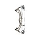 Hoyt Arco Compuesto Torrex XT LD