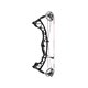 Hoyt Arco Compuesto Torrex XT LD