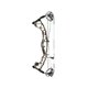 Hoyt Arco Compuesto Torrex XT LD