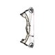 Hoyt Arco Compuesto Torrex XT LD