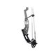 Hoyt Compound Bow Altus SVX 2021