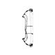 Hoyt Compound Bow Altus DCX 2021