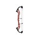 Hoyt Arco Compuesto Altus DCX 2021