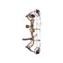 Bear Archery Kit Arco Compuesto Legit Bear Archery Kit Arco Compuesto Legit