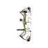 Bear Archery Kit Arco Compuesto Legit Bear Archery Kit Arco Compuesto Legit