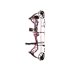 Bear Archery Kit Arco Compuesto Legit Bear Archery Kit Arco Compuesto Legit