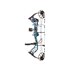 Bear Archery Kit Arco Compuesto Legit Bear Archery Kit Arco Compuesto Legit