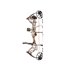 Bear Archery Kit Arco Compuesto Legit Bear Archery Kit Arco Compuesto Legit