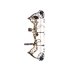 Bear Archery Kit Arco Compuesto Legit Bear Archery Kit Arco Compuesto Legit