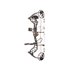 Bear Archery Kit Arco Compuesto Legit Bear Archery Kit Arco Compuesto Legit