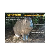 Natur Foam Diana 3D CAPIBARA