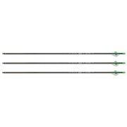 Skylon CARBON SAVAGE ARROWS ID6.2