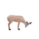 Wild Life 3D Target ROEDEER DRINKING / - DIM: