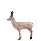 Wild Life 3D Target ROEDEER ALERTED / - DIM:30x122x104CM GROUP 3