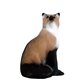 Wild Life 3D Target FOX RED