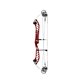 PSE Compound Bow Dominator Duo 38 S2 2023