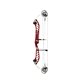 PSE Compound Bow Dominator Duo 38 SE 2023