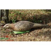 Natur Foam 3D Target PHEASANT - HEN