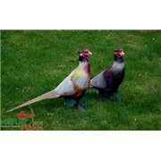 Natur Foam 3D Target PHEASANT