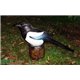 Natur Foam 3D Target MAGPIE