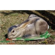 Natur Foam 3D Target HARE - BEDDED