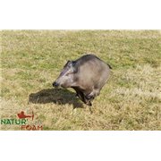 Natur Foam 3D Target WILD BOAR - RUNNING