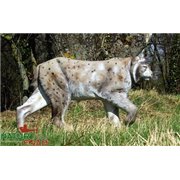 Natur Foam Diana 3D LINCE