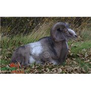 Natur Foam 3D Target MOUFLON - LYING