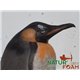 Natur Foam Diana 3D PINGÜINO EMPERADOR