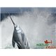 Natur Foam 3D Target Swordfish