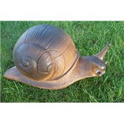 Wild Life 3D Target Land Snail