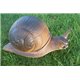 Wild Life 3D Target Land Snail