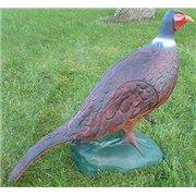 Wild Life 3D Target PHEASANT RED