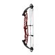 Hoyt Arco Compuesto STRATOS 36 SVX 2023