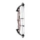 Hoyt Arco Compuesto STRATOS 36 SVX 2023